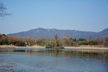 湖泊美景