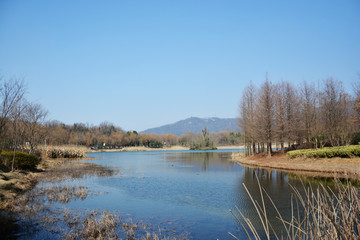 清澈湖泊