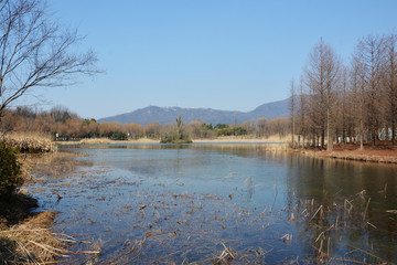 唯美湖景