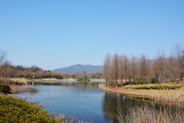 湖泊美景