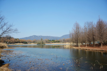 青山秀水