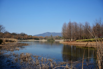 中山风景区湖景