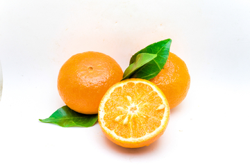 沃柑橘
