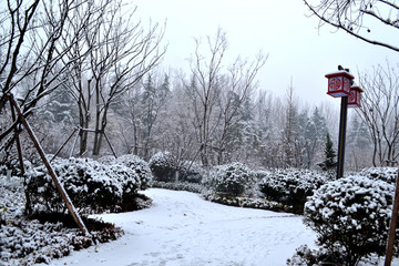 雪后景色