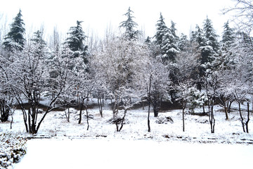 雪景