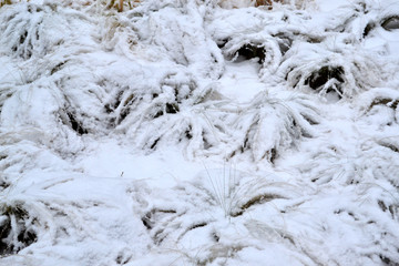 雪后小景