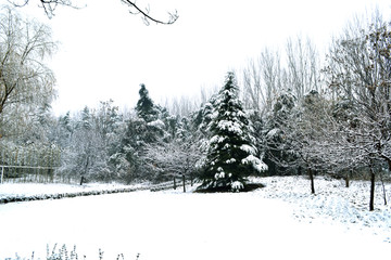 冬天的雪景