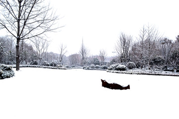 美丽的雪景