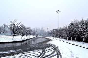 美丽的雪景