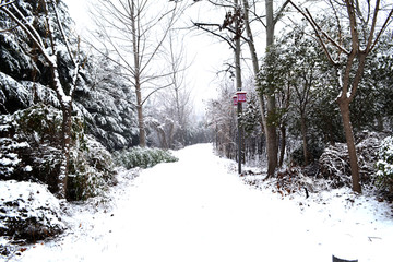 美丽的雪景