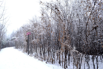 美丽的雪景