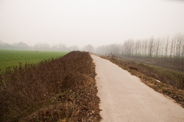 乡间道路