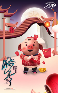 2019豬年