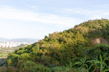 海南三亚凤凰山风景区植物景观