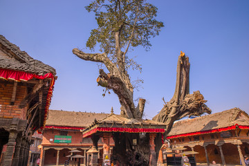 尼泊爾寺廟