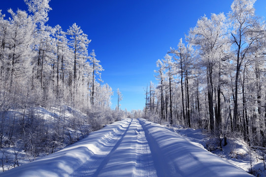 雪域树林山路景观