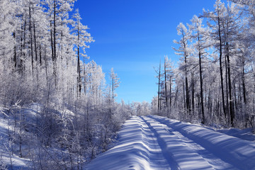 雪域树林山路