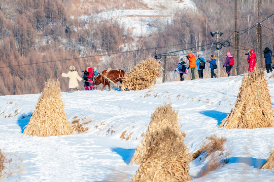 雪村