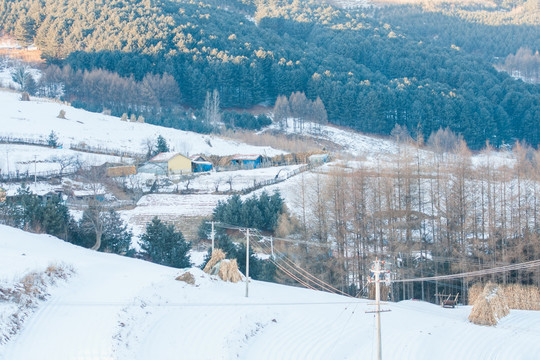 雪村