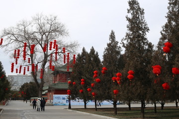 节日装饰红灯笼