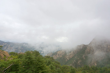 韩国雪岳山植被和云雾