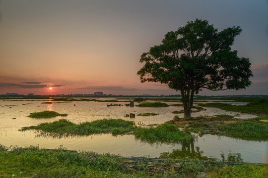 东莞东坑湿地公园