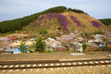 小山村