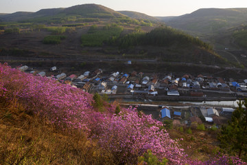 小山村