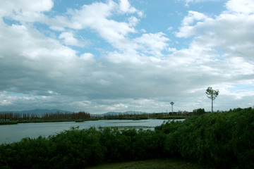 昆明斗南湿地公园
