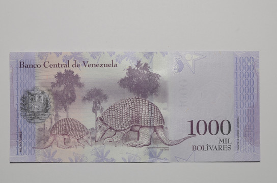 委内瑞拉纸币