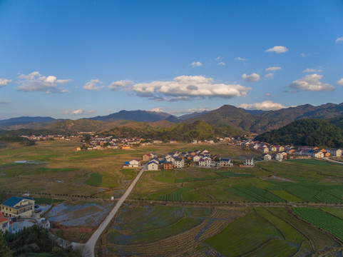 示范农村