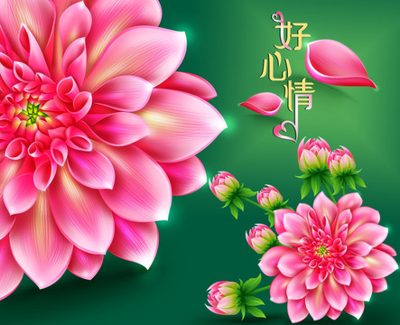 大麗花背景圖