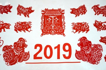 剪纸2019猪