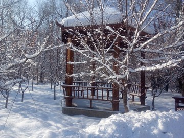 雪景