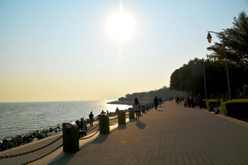 深圳湾风景