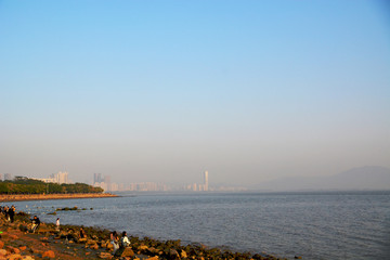 深圳湾风景