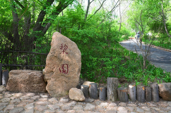 千山雨润梨园梨园梨园石