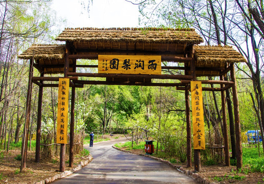 千山雨润梨园圆木柱门与柏油路