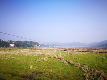 田野