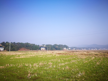 田野