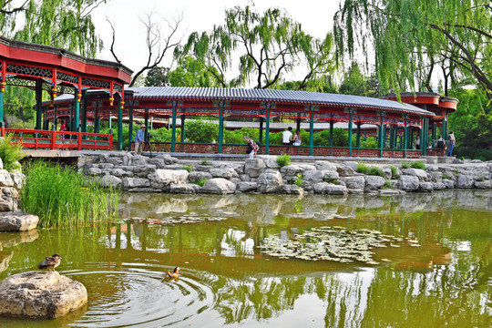北京动物园亭台楼榭园林