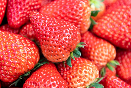 水果1草莓