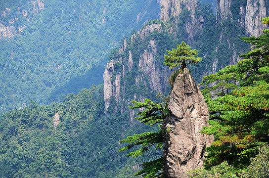 黄山奇石梦笔生花