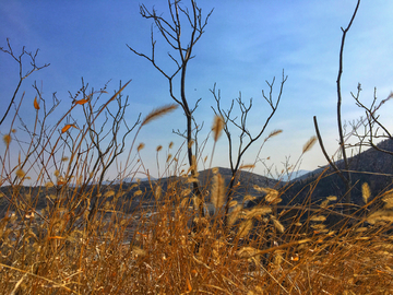 野山