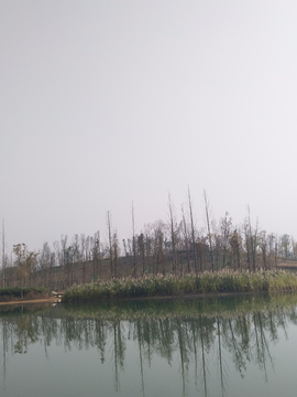 白鹭湾湿地公园