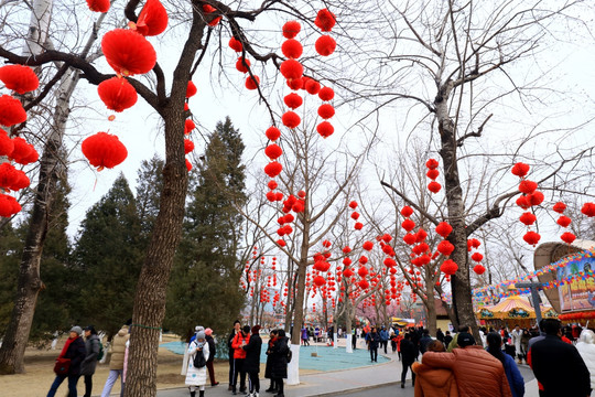 北京龙潭湖庙会