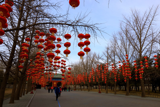 北京天坛公园