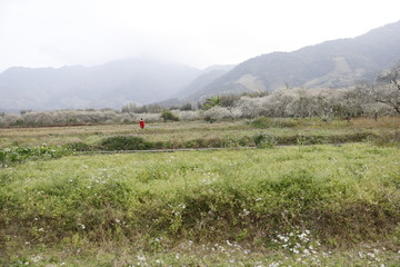 吕田桂峰村