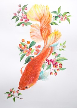 水彩锦鲤鱼