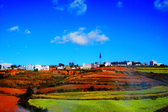 东川红土地